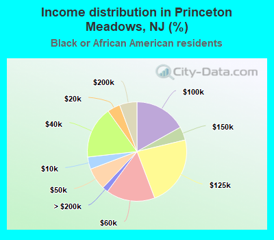 Income distribution in Princeton Meadows, NJ (%)