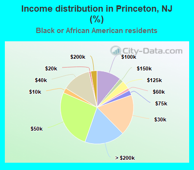 Income distribution in Princeton, NJ (%)