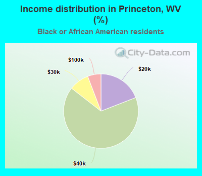 Income distribution in Princeton, WV (%)