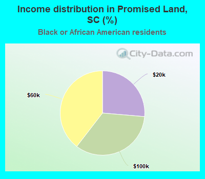 Income distribution in Promised Land, SC (%)