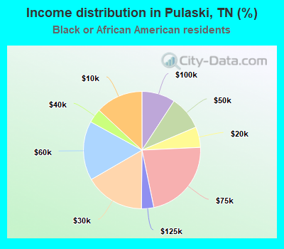 Income distribution in Pulaski, TN (%)