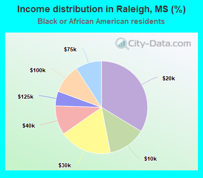 Income distribution in Raleigh, MS (%)
