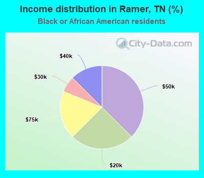 Income distribution in Ramer, TN (%)