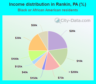 Income distribution in Rankin, PA (%)