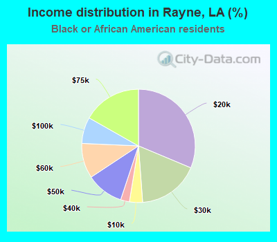 Income distribution in Rayne, LA (%)