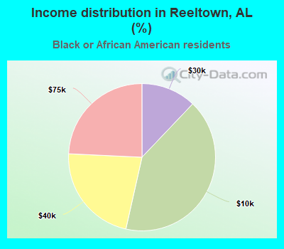 Income distribution in Reeltown, AL (%)