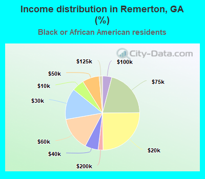 Income distribution in Remerton, GA (%)