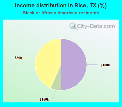 Income distribution in Rice, TX (%)