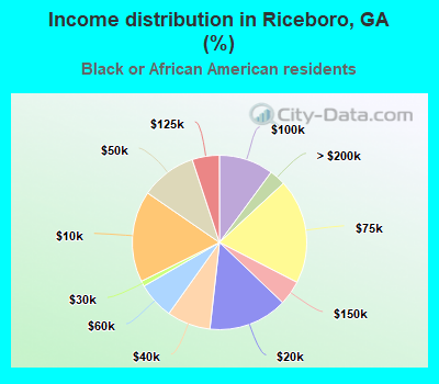 Income distribution in Riceboro, GA (%)