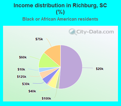 Income distribution in Richburg, SC (%)