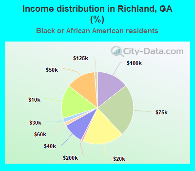 Income distribution in Richland, GA (%)