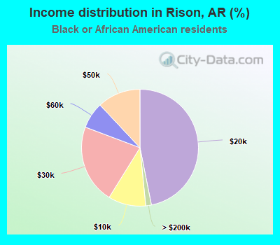 Income distribution in Rison, AR (%)
