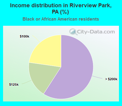 Income distribution in Riverview Park, PA (%)