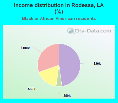 Income distribution in Rodessa, LA (%)