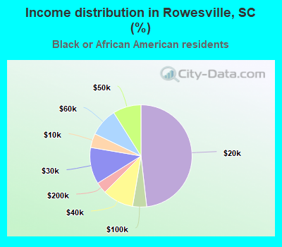 Income distribution in Rowesville, SC (%)