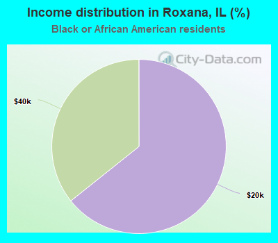 Income distribution in Roxana, IL (%)