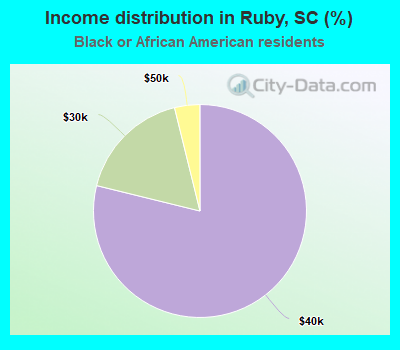 Income distribution in Ruby, SC (%)