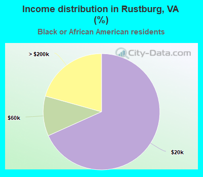 Income distribution in Rustburg, VA (%)