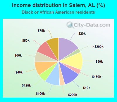 Income distribution in Salem, AL (%)