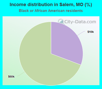 Income distribution in Salem, MO (%)