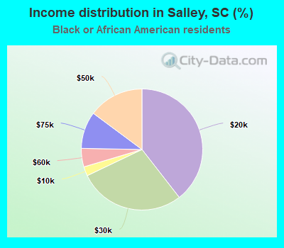 Income distribution in Salley, SC (%)