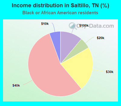 Income distribution in Saltillo, TN (%)