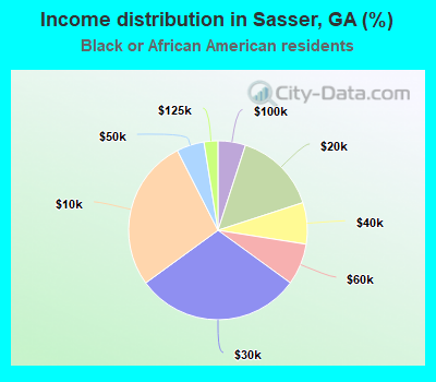 Income distribution in Sasser, GA (%)