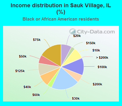 Income distribution in Sauk Village, IL (%)