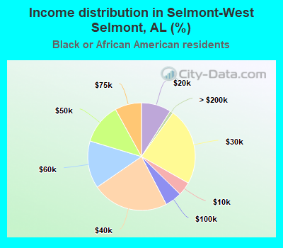 Income distribution in Selmont-West Selmont, AL (%)