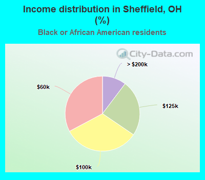 Income distribution in Sheffield, OH (%)