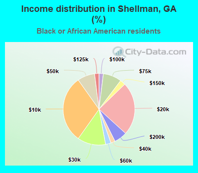 Income distribution in Shellman, GA (%)