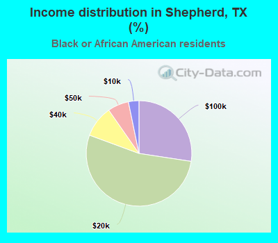 Income distribution in Shepherd, TX (%)