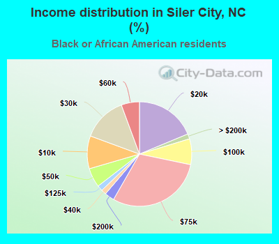 Income distribution in Siler City, NC (%)