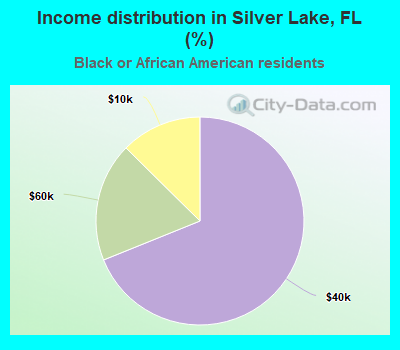 Income distribution in Silver Lake, FL (%)