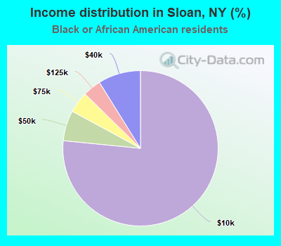Income distribution in Sloan, NY (%)