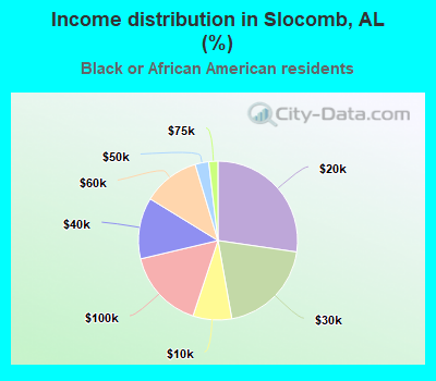 Income distribution in Slocomb, AL (%)