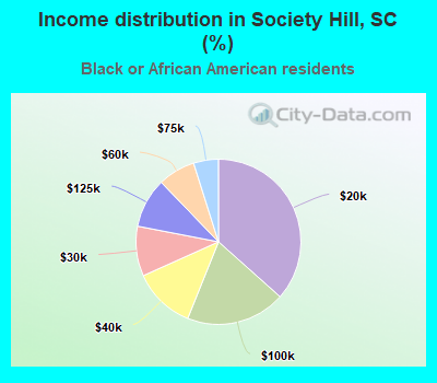 Income distribution in Society Hill, SC (%)
