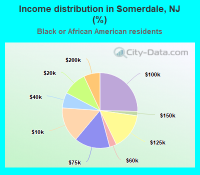 Income distribution in Somerdale, NJ (%)