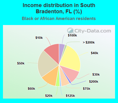 Income distribution in South Bradenton, FL (%)