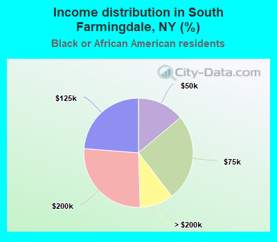 Income distribution in South Farmingdale, NY (%)