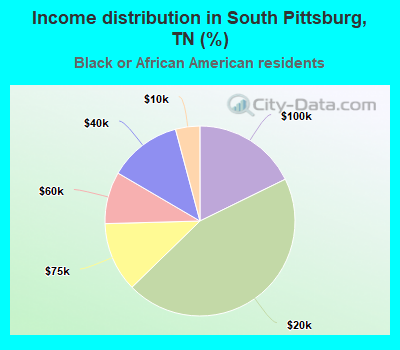 Income distribution in South Pittsburg, TN (%)