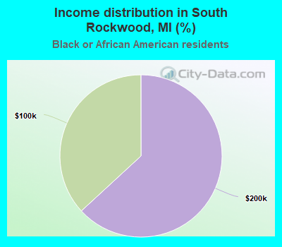 Income distribution in South Rockwood, MI (%)