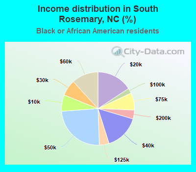 Income distribution in South Rosemary, NC (%)