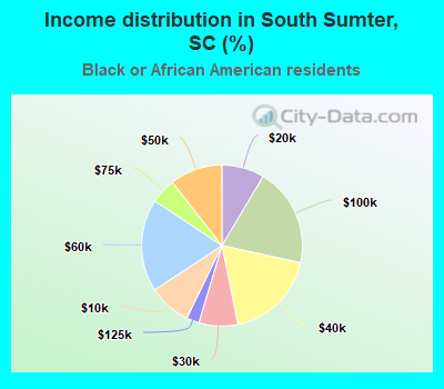 Income distribution in South Sumter, SC (%)