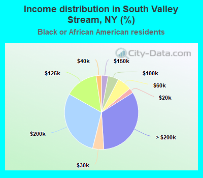 Income distribution in South Valley Stream, NY (%)