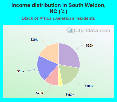 Income distribution in South Weldon, NC (%)