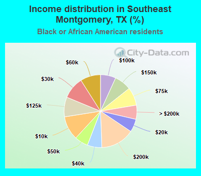 Income distribution in Southeast Montgomery, TX (%)