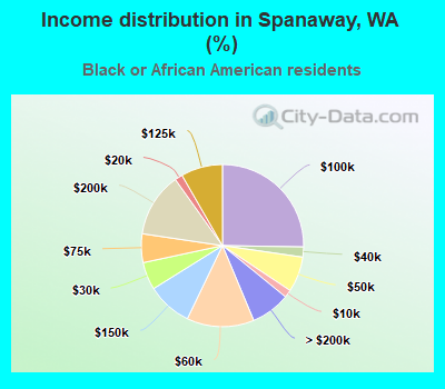 Income distribution in Spanaway, WA (%)