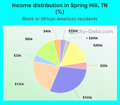Income distribution in Spring Hill, TN (%)