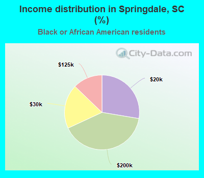 Income distribution in Springdale, SC (%)